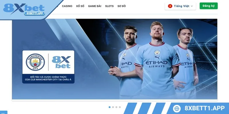 Người dùng cần tôn trọng website trên mọi phương diện